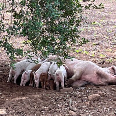 22.09.23 053 22.09.23 053