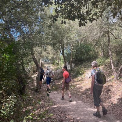 17.05.24 001 17.05.24 001