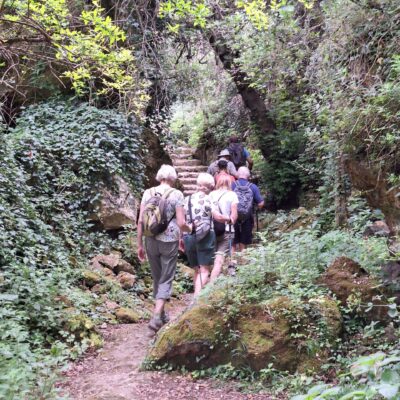 17.05.24 003 - Copy1 17.05.24 003 - Copy1