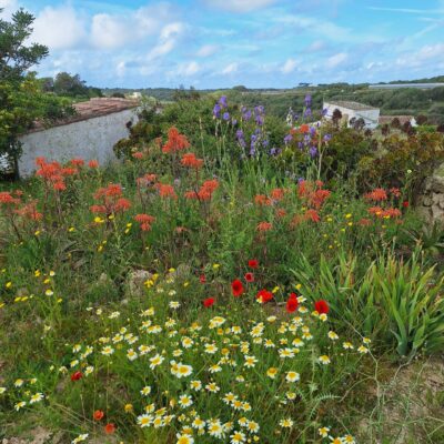 09.05.25 002 09.05.25 002