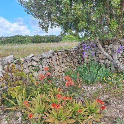 09.05.25 003 09.05.25 003