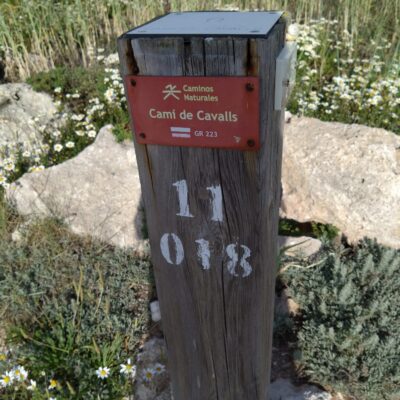 09.05.25 010 09.05.25 010