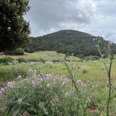 09.05.25 012 09.05.25 012