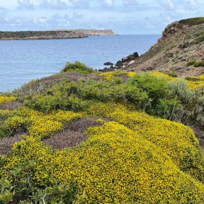 09.05.25 027 09.05.25 027