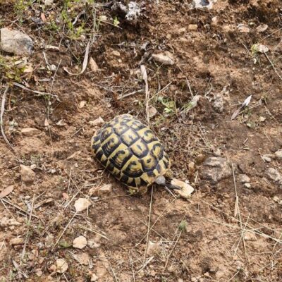 09.05.25 035 09.05.25 035