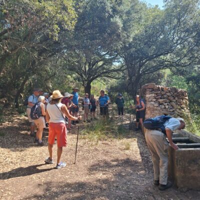 06.06.25 017 06.06.25 017