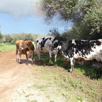 27.12.25 045 27.12.25 045