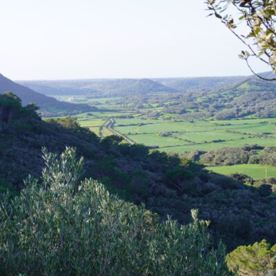 27.12.25 099 27.12.25 099