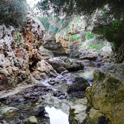 27.12.25 103 27.12.25 103