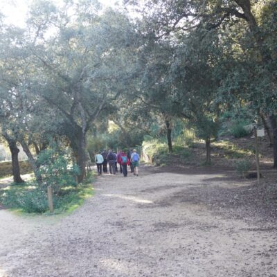 27.12.25 107 27.12.25 107