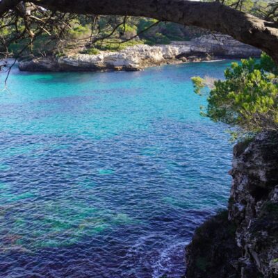 27.12.25 109 27.12.25 109